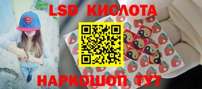 винт Будённовск