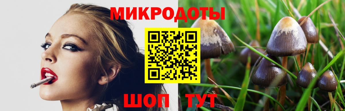 Галлюциногенные грибы мухоморы Реутов